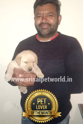 Buy Labrador puppy in India