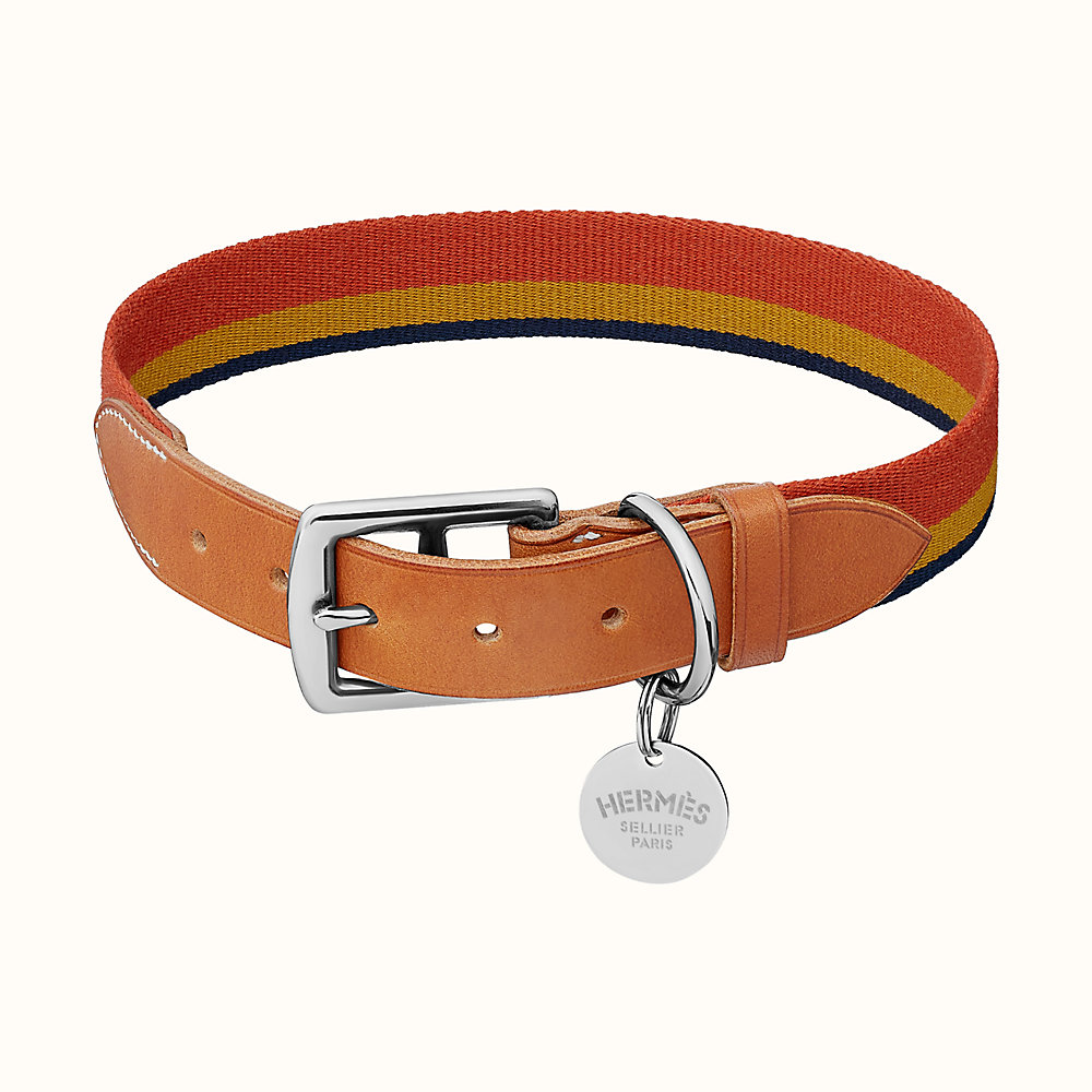 http://www.srisaipetworld.in/wp-content/uploads/2021/08/demo-collar.jpg