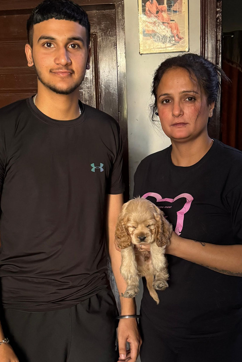 Cute American Cocker Spaniel puppy with long ears and silky coat