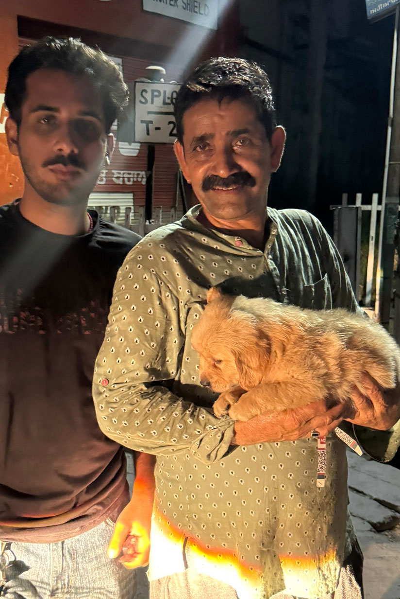 Golden Retriever puppy in Jalandhar with soft golden coat